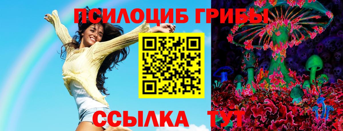 Псилоцибиновые грибы Psilocybe  Вход с VPN  Воркута  Псилоцибиновые грибы мухоморы 